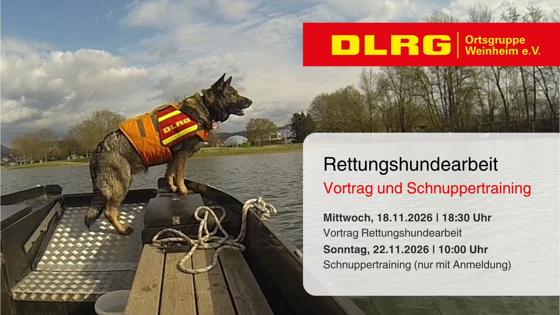 Rettungshunde Weinheim